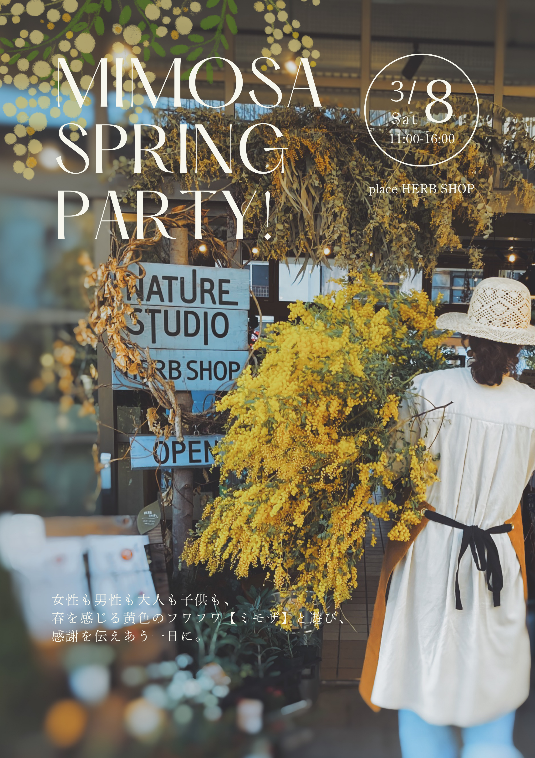 Mimosa Spring Party! – NATURE STUDIO