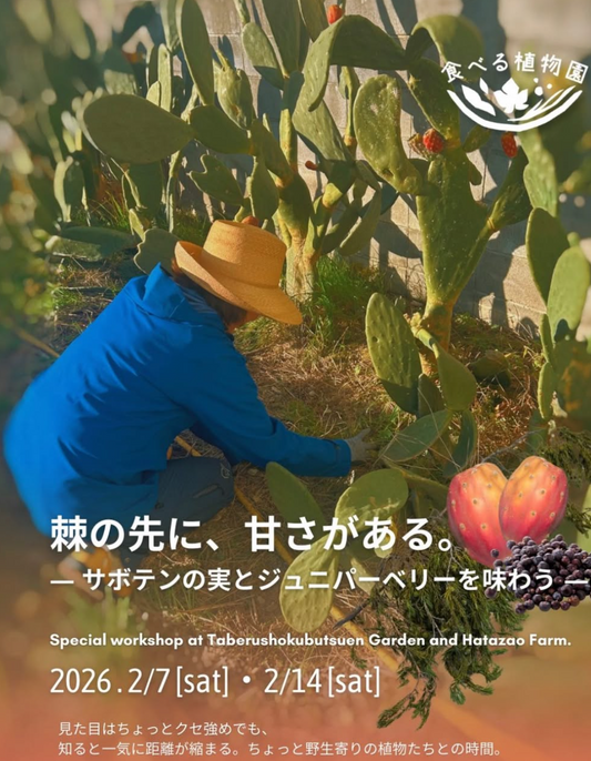 サボテンの実とジュニパーベリーを味わう