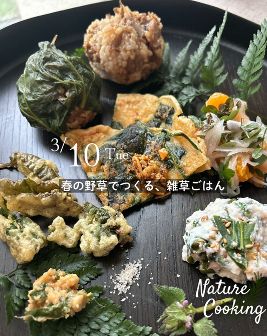 春の野草でつくる、雑草ごはん｜Nature Cooking