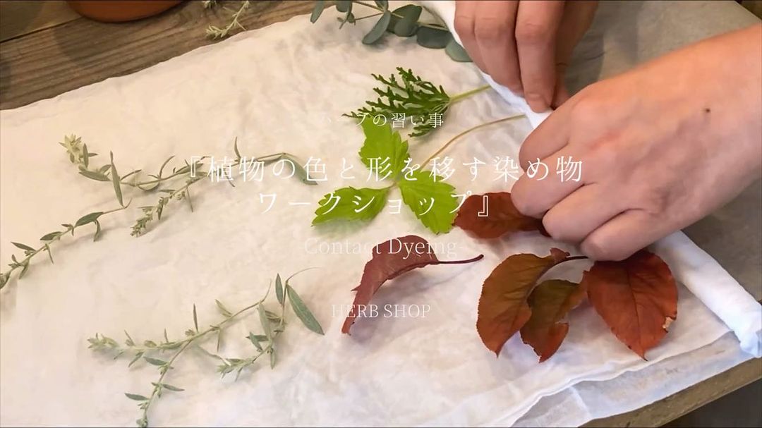 ハーブの習いごと8月『植物の色と形を移す染め物ワークショップ -Contact Dyeing-』