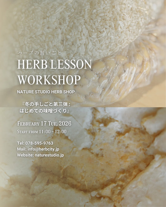 はじめての味噌づくり