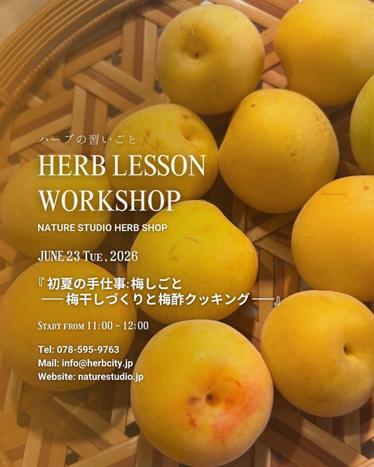 初夏の手仕事: 梅しごと — 梅干しづくりと梅酢クッキング —