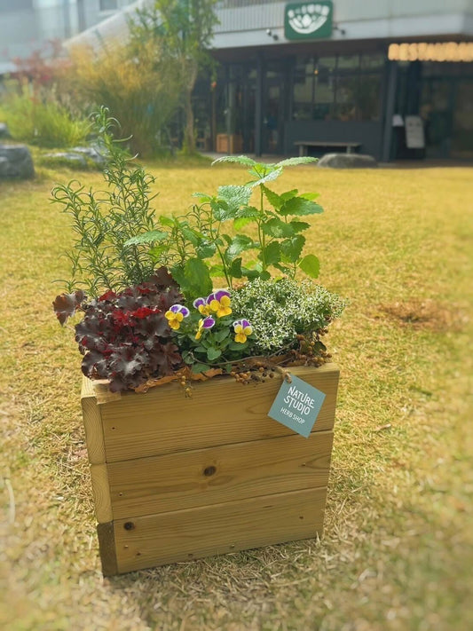 ハーブコンテナガーデンづくり