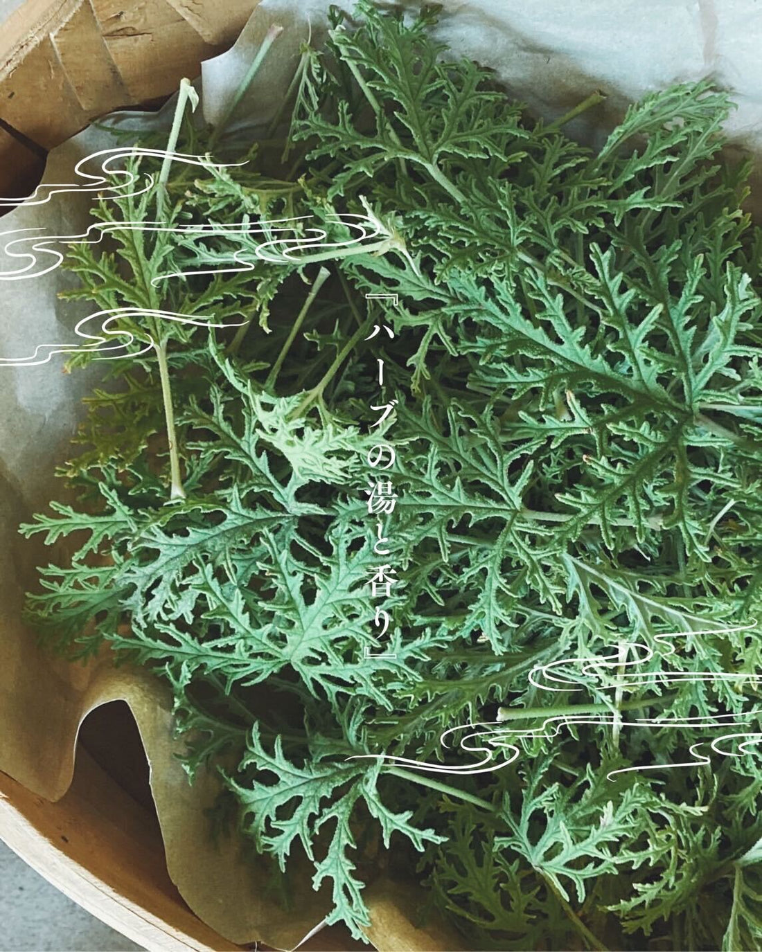 ハーブの湯と香り